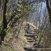 23 mars 2019 : Les côteaux de Chartreuse
