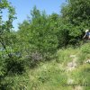 8-9-10 juin 2019 - Casteljau (Olivier)