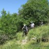 8-9-10 juin 2019 - Casteljau (Olivier)