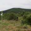 8-9-10 juin 2019 - Casteljau (Olivier)
