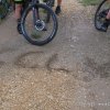 8-9-10 juin 2019 - Casteljau (Olivier)