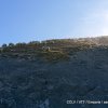 21 septembre 2019 - plateau d'Emparis