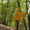 26 octobre 2019 : Tour du Rachais