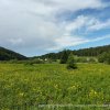 4,5 et 6 juin 2022 : Lamoura (Jura) - Sébastien  F.