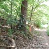 23 juillet : le chemin de l'Aplomb