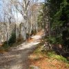 29 octobre 2022 : Col du Coq - Col du Baure