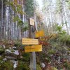 29 octobre 2022 : Col du Coq - Col du Baure