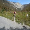 29 octobre 2022 : Col du Coq - Col du Baure
