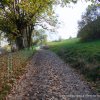 1er novembre : Montchaboud depuis Brié Haut