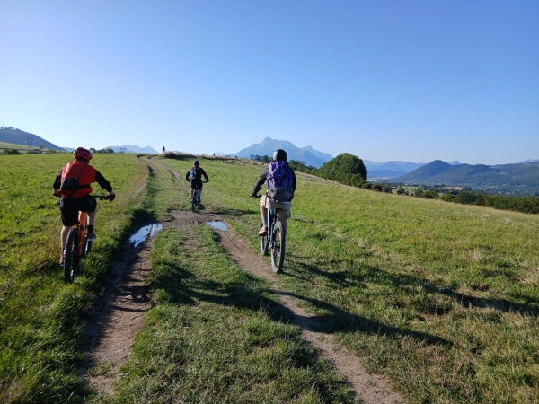 20250907_091205.jpg 20250907_091205.jpg