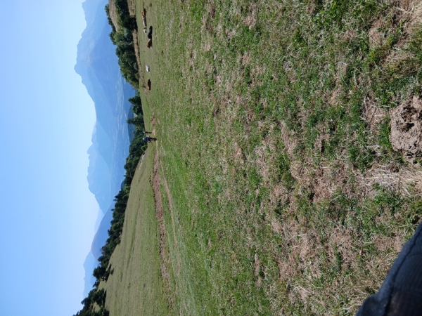 20250907_125153.jpg 20250907_125153.jpg